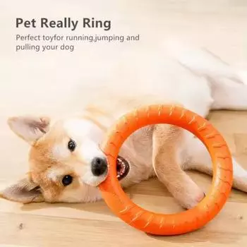 Игрушки для собак Летающий диск для дрессировки домашних животных Кольцо-пулемет Анти-укус Плавающие интерактивные принадлежности Игрушка для собак Агрессивная жевательная собака Подарок 17.5cm красный