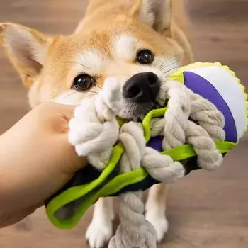 Игрушки для собак, тапочки из хлопковой веревки, звуковые игрушки для собак, скрежет зубов, чистка зубов, встроенная подушка безопасности BB, круглый мяч, колокольчик, разное фиолетовый