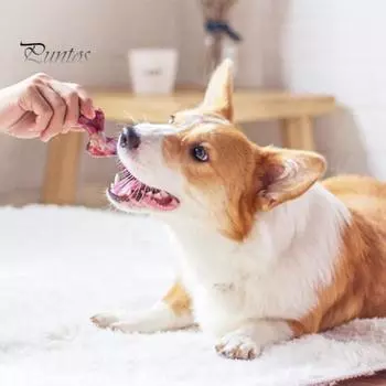 Игрушки для жевания костей для собак Неразрушимые игрушки для костей со вкусом бекона Нейлоновая игрушка для чистки зубов с ароматом ростбифа для собак крупных средних пород Активные зубы B