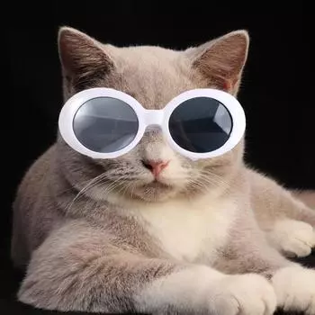 Игрушки Украшения Куклы Очки Одевалки Куклы Очки Детские Игрушки Домашние Животные Солнцезащитные Очки 20 см Куклы White