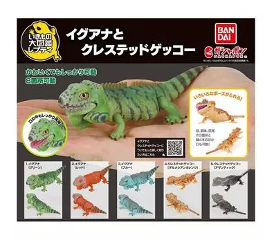 Игуана и хохлатый геккон x Все 5 типов набор Полный Комп Gacha Gacha Капсула Игрушка