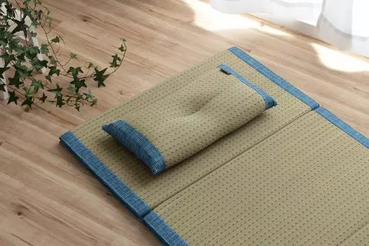 Ikehiko Igusa Clear For Uses Kobayashi Pharmaceutical 50 x 30 Blue Pillow, Deodorizing, Sleeping, Antibacterial, Deodorizing, Deodorant, Simple,
