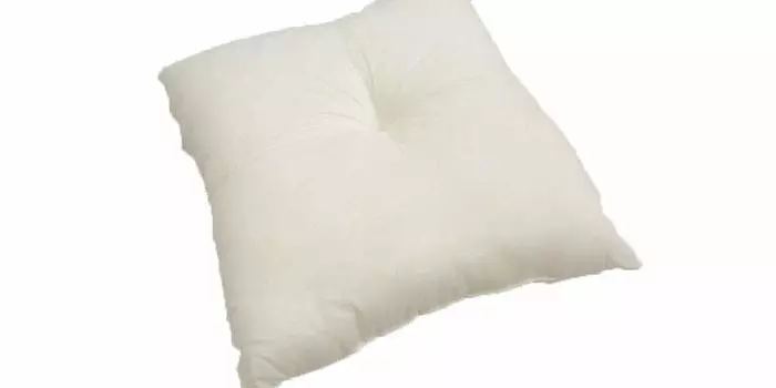 Ikehiko Nude Cushion Domestic Seat for Chairs Nude Ivory 45 x 45cm Set of 2 Approx. #9507810