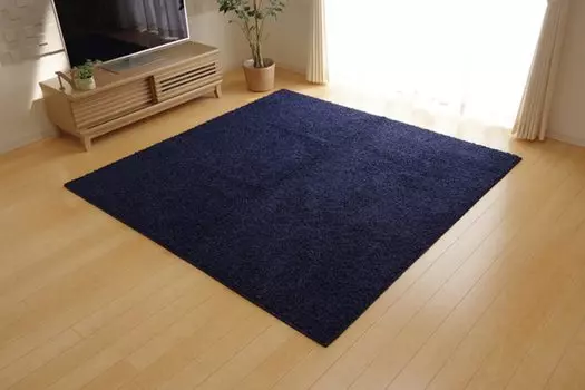 Ikehiko Plain Champs Приблизительно 190 x 240 Запах Пылевой Клещ Пламя Сделано в Японии Ковер, Ткать, Elysees, Синий, см, Антибактериальный, Устойчивый, Устойчивый,