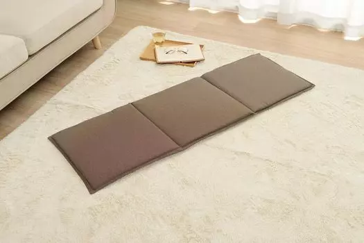 Ikehiko Reused PET Loop Free 43 x Made in Domestic Processing Cushion, Bottle, Sheet, Brown, Approx. 130cm, Japan, Plain, Simple, Washable, Clean,