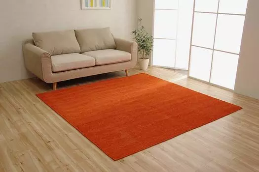 Ikehiko Rug Carpet Washable Water Repellent Plain Simple Moderno Orange 185 x 185 cm Non-slip Approx. #4599629