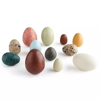 iking Деревянные игрушки-яйца 12 шт. Игровой домик Развивающие игрушки Распознавание форм Игрушки-симуляторы Яйца Игровой домик Набор Декоративные инструменты Пасхальные яйца Деревянные