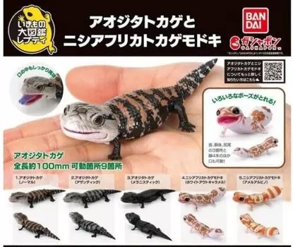 Illustrated Encyclopedia of Creatures Repti Aojita Lizard and Western African Lizard x All 5 Types Set Full Comp Gacha Gacha Capsule Toy