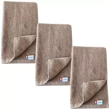 imaa Imabari Towel Certified Slim Bath Towel Set of Quick Made in Sauna Sakai Light 3, Fluffy, Thin, Absorbent, Drying, Japan, 100% Cotton, (3 Brown)