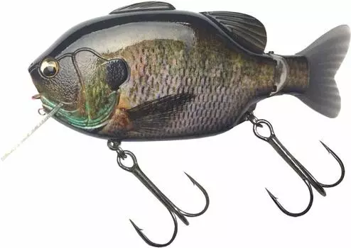 Imakatsu Konan Gil Uchiwa 3D Realism 3D Biwako Blackgill #796