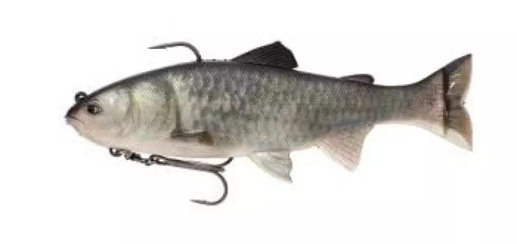 Imakatsu Lazy Swimmer 3D Realism 3DR Cold Carp Silver (Eco-compatible product) #S-511