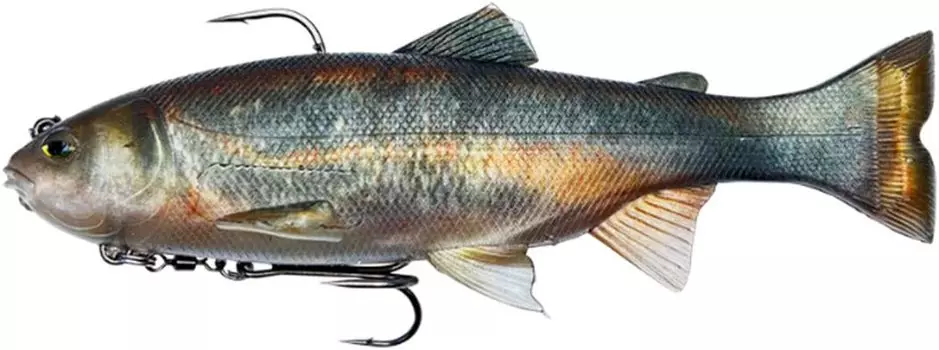 Imakatsu Lazy Swimmer 3D Realism 3DR Contained Dace (Eco-compatible product) #S-506