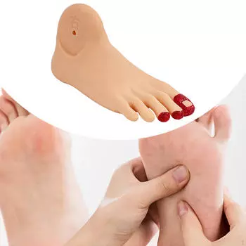 Имитационная модель диабета стопа подробная структура практика натуральный размер уход