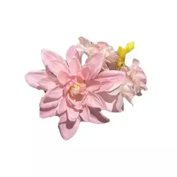 Имитация цветка заколка для волос гавайский цветочный декор боковая заколка для волос пляж отпуск фотография женские аксессуары для волос розовый