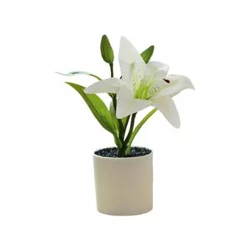 Имитация Изысканный Для Растений Хороший Эффект Имитации Свежесть Декоративный Декоративный Жизненная сила Украшения для Дома