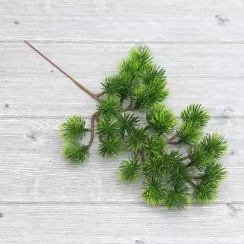 Имитация Красота Сосновые Иголки Большие Сосновые Иголки Приветственная Сосна Растение Аксессуары Ландшафтный Дизайн Окно Ресторан Достопримечательности Ландшафтный Дизайн зелёный