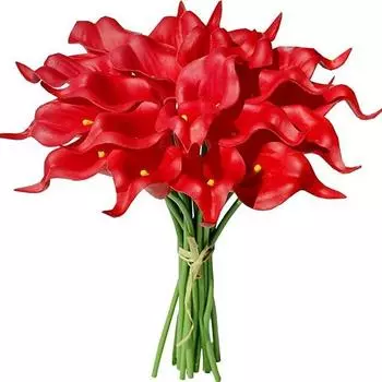 Имитация мини-каллы Pu 20 шт., украшения для гостиной и столовой, имитация сухоцветов красный