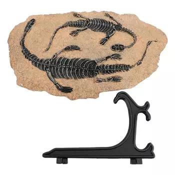 Имитация окаменелости динозавра с подставкой для дисплея, статуэтка из смолы в виде черепа динозавра для домашнего кабинета Offi