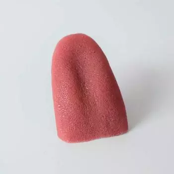 Имитация языка без запаха с языком, мех, пластиковый корпус, стальная игла ужасов, магический реквизит для языка 2pcs