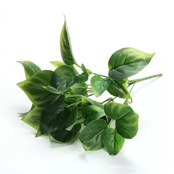 Имитация Растений Стена Зеленые Растения Фоновая Стена Цветочная Композиция С Материалом Искусственный Цветок Зеленый Укроп Гостиная Маленькое Комнатное Растение Декоративное