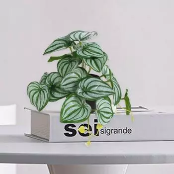 Имитация растения Уникальное простое в обслуживании многоразовое искусственное зеленое растение Маленькие листья бегонии Искусственное зеленое растение Украшение I