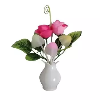 Имитация Растения Управление Светом Ночник Светодиодный Сокетный Свет Индукционный Свет Втычная Энергосберегающая Лампа One Size