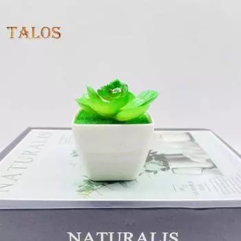 Имитация сочного бонсай, неувядший декоративный, прозрачная текстура, прочный, для гостиной, рабочего стола, искусственное алоэ, горшечное растение