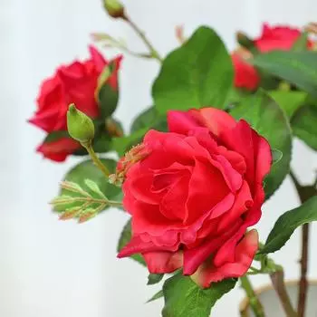 Имитация влажности рук 2 розы Домашнее украшение Бонсай Имитация букета искусственных цветов 45cm белый