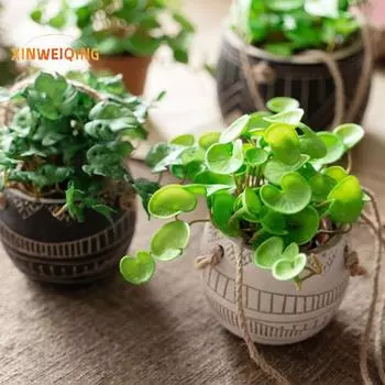 Имитация зеленого растения, суккуленты, ощущение рук, не засохшие, не выцветающие, легкий уход, тонкая работа, орнамент, листья кориандра, искусственный лист A