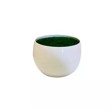 Imitation Plastic Ceramics Round Belly Shaped Flocking Flower Pot Potted For