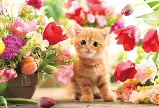 in 300 piece jigsaw puzzle Tulip and kitten x [Made Japan] (26 38cm) P33-190