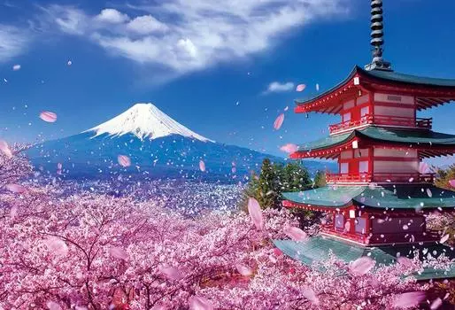in Beverly 1000 Piece Jigsaw Puzzle Fuji and Sengen Shrine with Dancing Cherry Blossoms x 72 [Made Japan] (49 cm) 1000-079