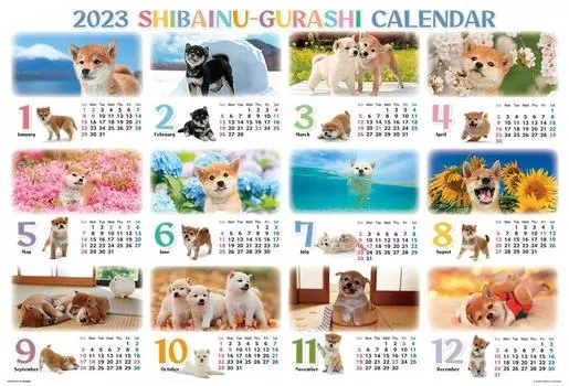 in Beverly 1000 Piece Jigsaw Puzzle Shiba Inu Life Calendar 2023 x [Made Japan] (49 72cm) 31-542