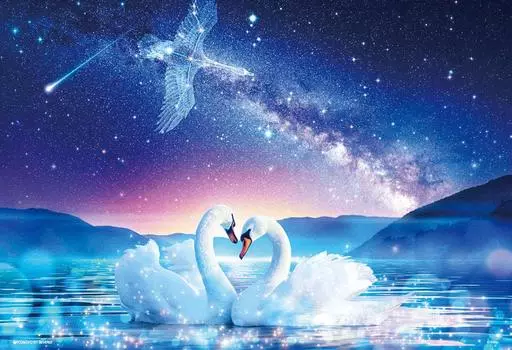 in Beverly 1000 Piece Jigsaw Puzzle Starry Night Promise Micro Piece x [Made Japan] (26 38cm) M81-584