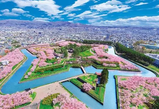 in Beverly 300 Piece Jigsaw Puzzle Cherry Blossom Colored Goryokaku x [Made Japan] (26 38cm) 300-126