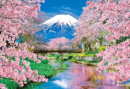 in Beverly 300 piece jigsaw puzzle Fuji and spring babble x 38 [Made Japan] (26 cm) 33-208