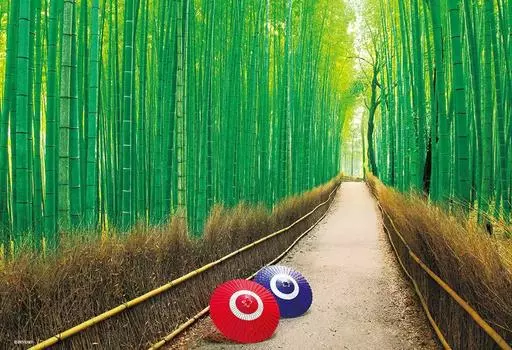 in Beverly 500 Small Jigsaw Puzzle Sagano Bamboo Forest x [Made Japan] (26 38cm) 500S-012
