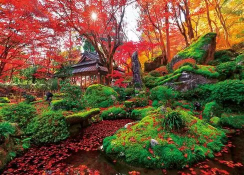in Beverly 600 Piece Jigsaw Puzzle Kyorinbo of Autumn Leaves x [Made Japan] (38 53cm) 600-026