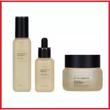 Incellderm Dermatology basic 2 типа + активный крем, 1 набор