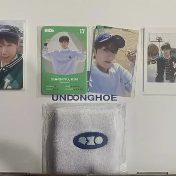 Infinite 2025 Season s Greetings Season s Greetings Full Composition Polaroid Sungkyu Photocard Sungyeol