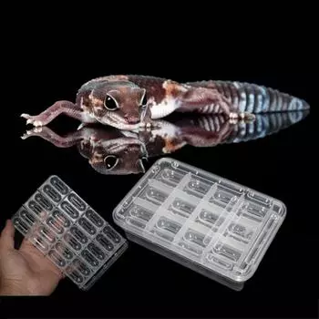 Инкубационный лоток для яиц рептилий с 24 отверстиями для яиц черепахи, ящерицы, хамелеона