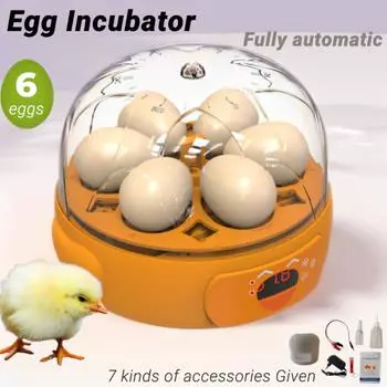 Инкубатор для яиц Автоматический инкубатор с двумя светодиодными дисплеями температуры и влажности оранжевый