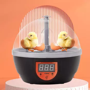 Инкубатор для яиц, бытовой съемный цифровой для гуся, перепела, курицы
