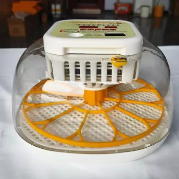 Инкубатор для яиц с контролем температуры и влажности, прозрачное окно, инкубатор для цыплят с автоматическим выводом