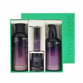 Innisfree Perfect 9 Intensive Skin Care Set