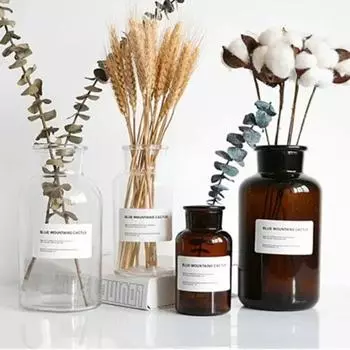 Ins Стеклянная ваза для цветов Прозрачный сухоцвет Гидропонный террариум Контейнер Бутылка Прозрачные бутылки для растений Домашний декор рабочего стола