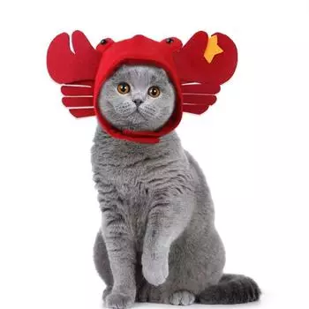 Ins Wind Cat Hat Полиэстер Хэллоуин Красная крабовая шляпа Удобная шляпа для домашних животных Cat