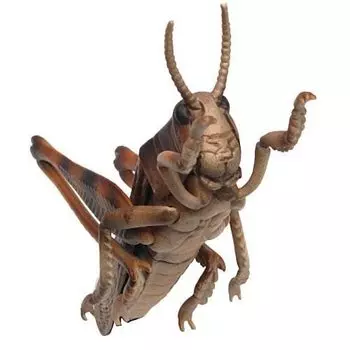 Insect Forest INSECT WARS Tonosama Gacha Gacha Capsule Toy [4. Grasshopper] (single item)