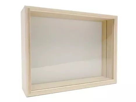 insectech paulownia specimen medium size box (glass lid) бежевый