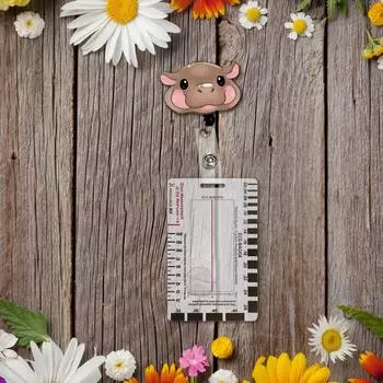 Инструмент для анализа и измерения сердца Rapids Прозрачный держатель для карты One Size